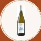 Falanghina